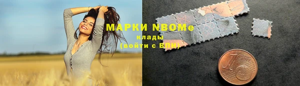 гашик Нея