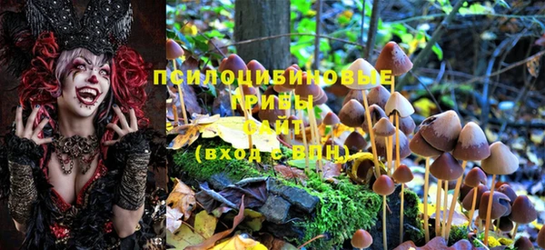 ECSTASY Нефтегорск