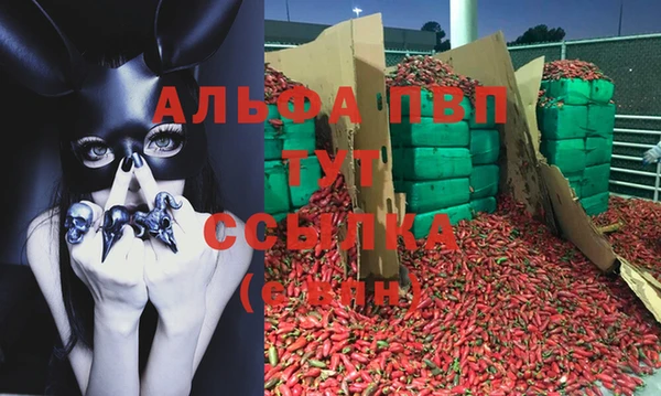 ECSTASY Нефтегорск